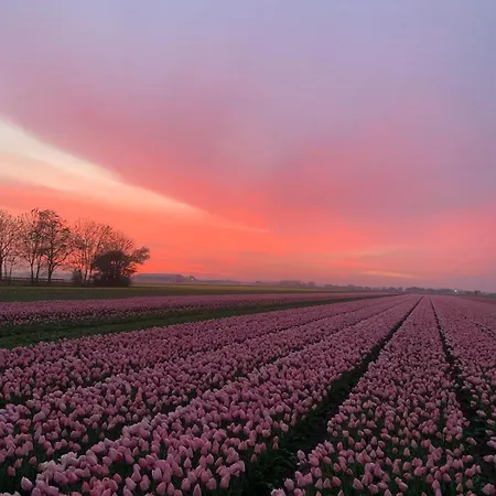 Hoeve Stolpwijk